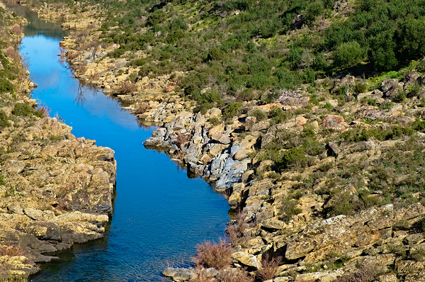 Majestic Vascao River Journey by Angelo DeVal