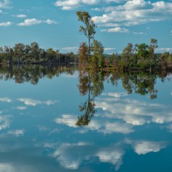 Lake Reflections Scene in Tapada Grande. Mertola