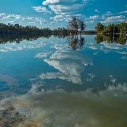 Reflections by the Lake