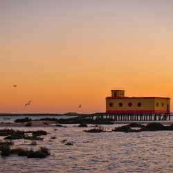 Lifesavers building and birds in Fuzeta. Portugal