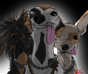 Who let the dogs out