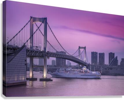 Purple Venus Canvas Print