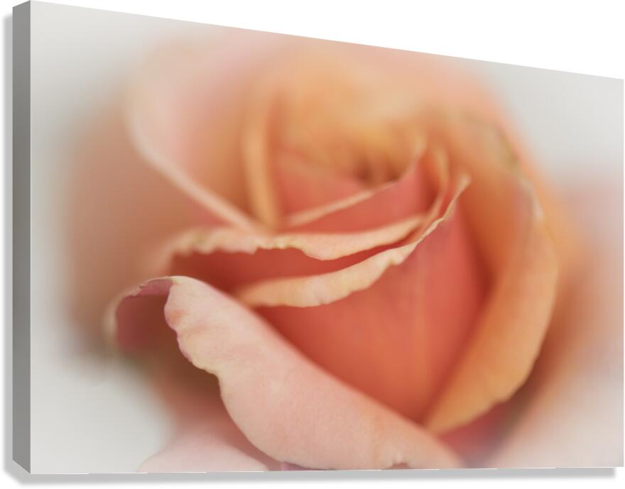 DREAMY Canvas Print