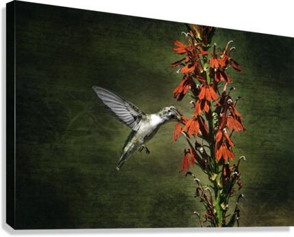 FEASTING Canvas Print