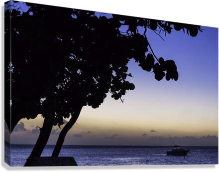 DUSK7022 Canvas Print