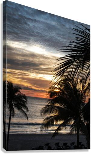 Florida-Early Riser Canvas Print