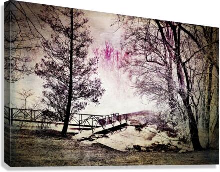 PAINTED TREES8036 Canvas Print