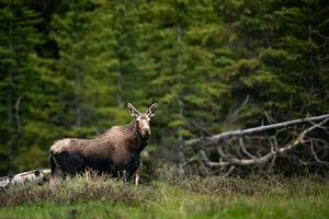 DSC01206 Enhanced SR