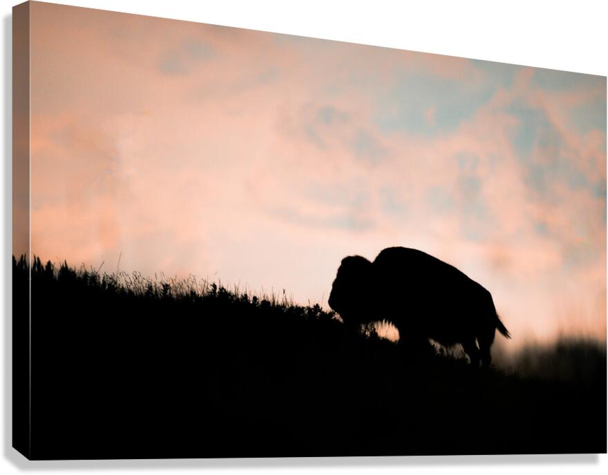 DSC00433 Enhanced SR Canvas Print