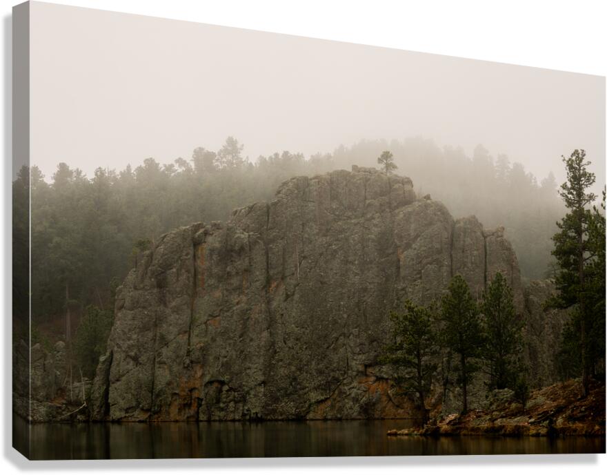 DSC09135 Canvas Print