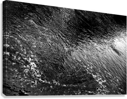 Reflex - XVII Canvas Print