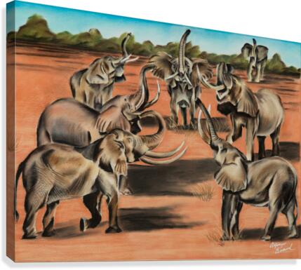 700.010 Power Canvas Print