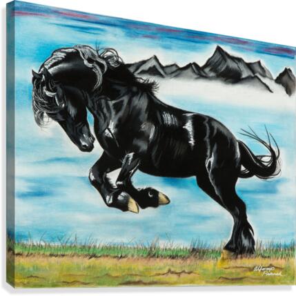 400.007 Ready Now Canvas Print