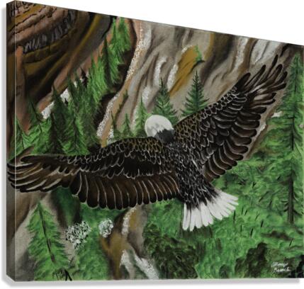 701.001 Soaring  Canvas Print