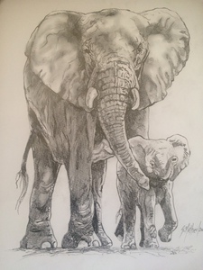 Elephants