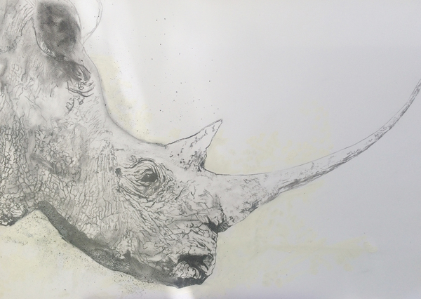 Save the Rhino Print
