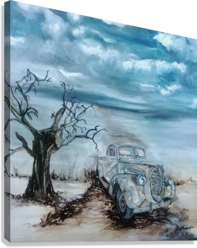 Barren lands Canvas Print