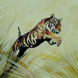 Plight of the Tiger