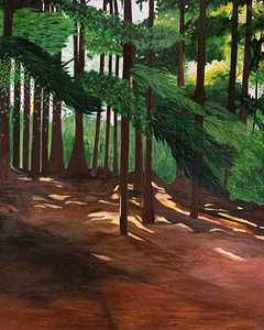 Forest Bathing -  Baignade en foret