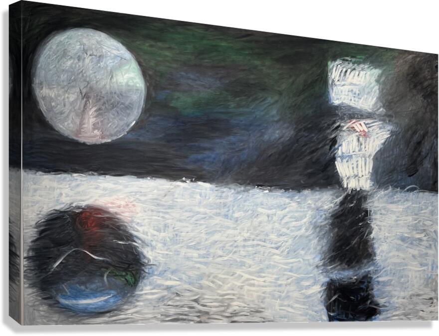 Reflection  Le reflet Canvas Print