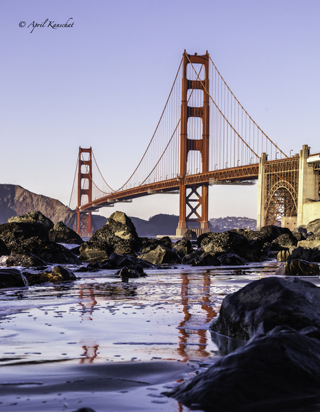 Golden Gate Bridge  Print