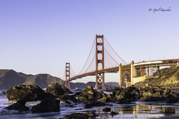 Golden Gate Bridge Print
