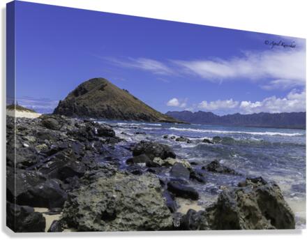 Hawaii Island Canvas Print