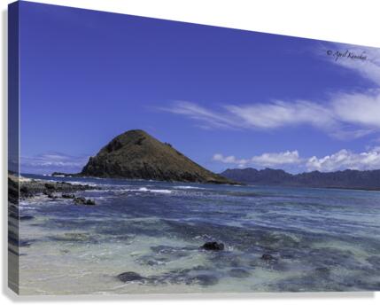 Hawaii Island Canvas Print