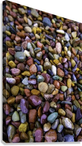 Montana Rocks Canvas Print