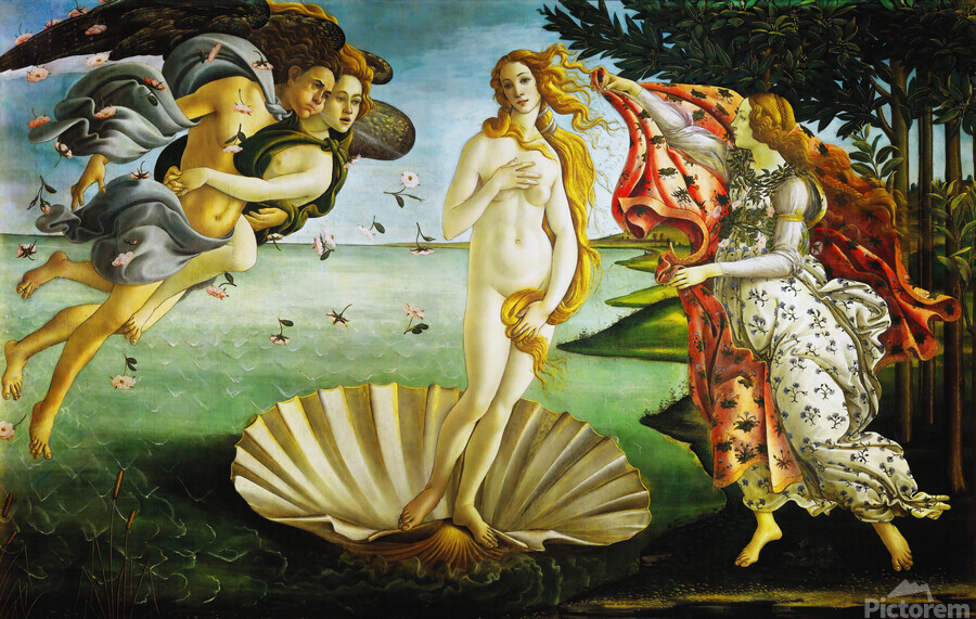 アート・デザイン・音楽 Sandro Botticelli: The Drawings for Sandro Botticelli The Birth of Venus by Classic Painting
