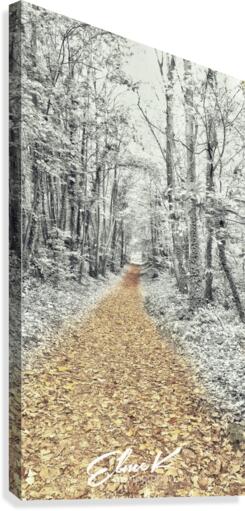 Duochrome Canvas Print