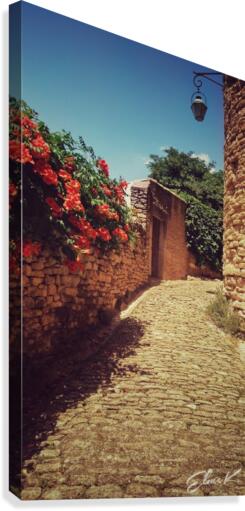 Its Provence  Canvas Print