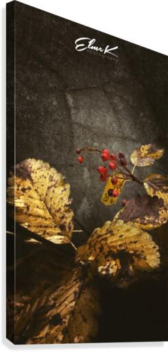 Autumn Canvas Print