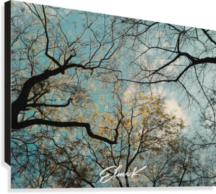 Tree Veins Canvas Print