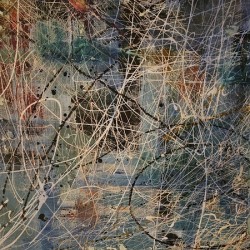 Tangled Web