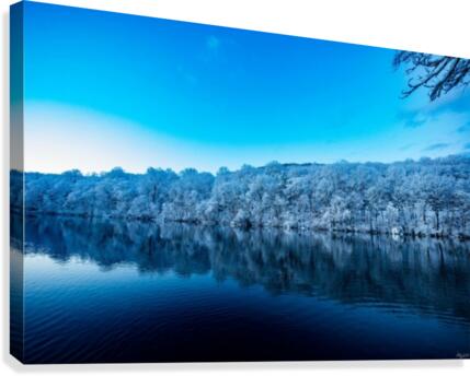 winter reflection Canvas Print