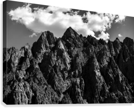 The Point  Canvas Print