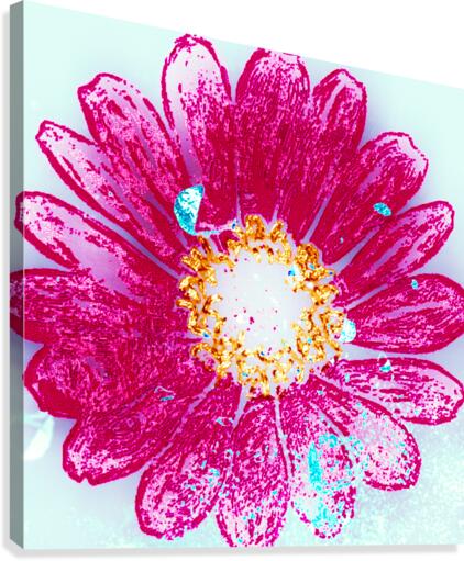 Flower Power Canvas Print