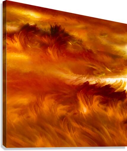 Grasslands Canvas Print