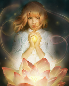 The Light of the Lotus