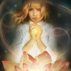 The Light of the Lotus