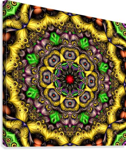 Monkey Mandala Canvas Print