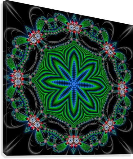 Trampoline Canvas Print