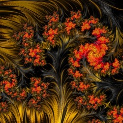 Autumn leaves