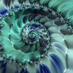 Blue Nautilus