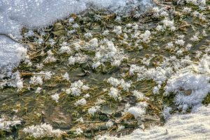 ice crystals