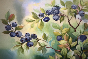 Ready for the Blueberry Pie