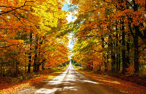 A Must Stop the Car for Some Photos