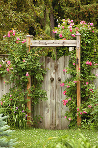 Backyard Wooden Garden Gate
