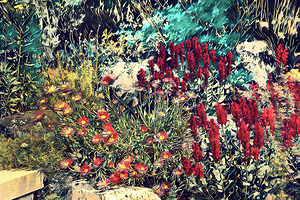 Such a Beautiful Garden